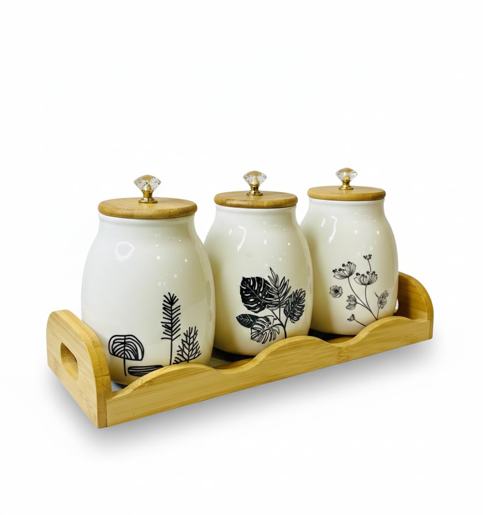Home Care TT-525 3-Piece Porcelain Spice Set Stylish Kitchen Organization, Pack of 1 - White Porcelain