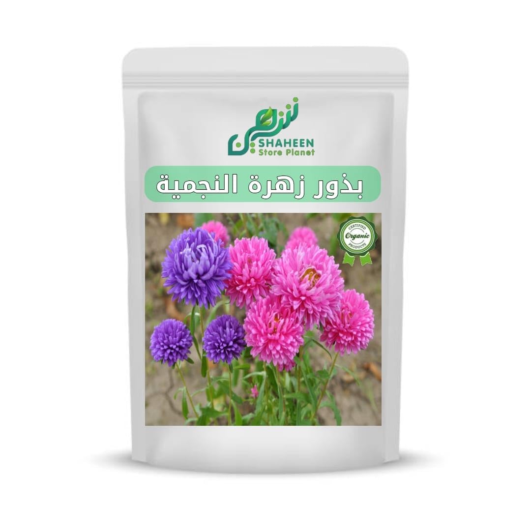 بذور زهرة النجمية (Callistephus chinensis) 10 بذور
