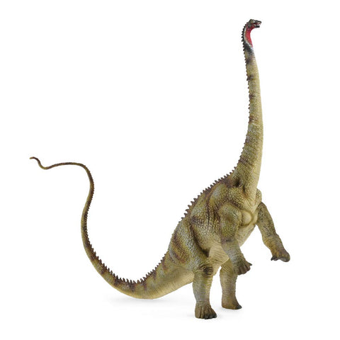 CollectA Diplodocus Dinosaur Toy Dinosaur Figure - Authentic Hand Painted & Paleontologist Approved Model, Green