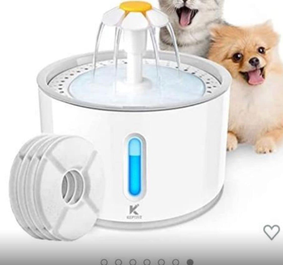 Generic Pet Water Fountain 2L