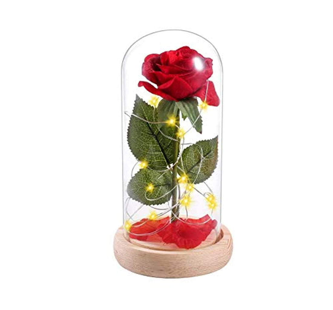 Beauty and Beast Roses Dream Flower Red Silk Rose with LED Light and Fallen Petals on a Glass Dome Wooden Base