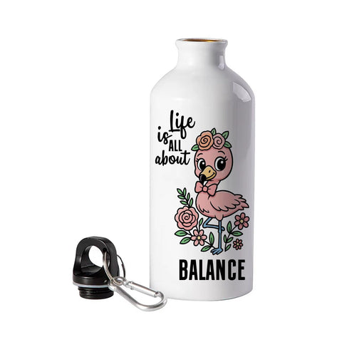 500ML Aluminum Water Bottle – Flamingo Design, Durable & Lightweight with Carabiner Clip – Reusable Sports Bottle for Gym, Travel, Office & Outdoor Use (Life is all About Balance)