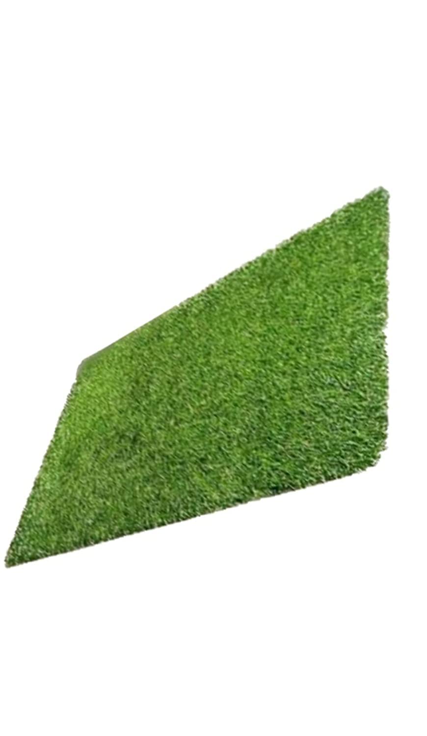 Home entrance Green grass Decor Doormat Rug Door mat 50x80 cm