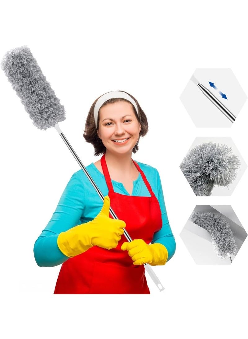 duster with extendable stainless steel handle, for cleaning cobwebs, ceiling fans, and cars.