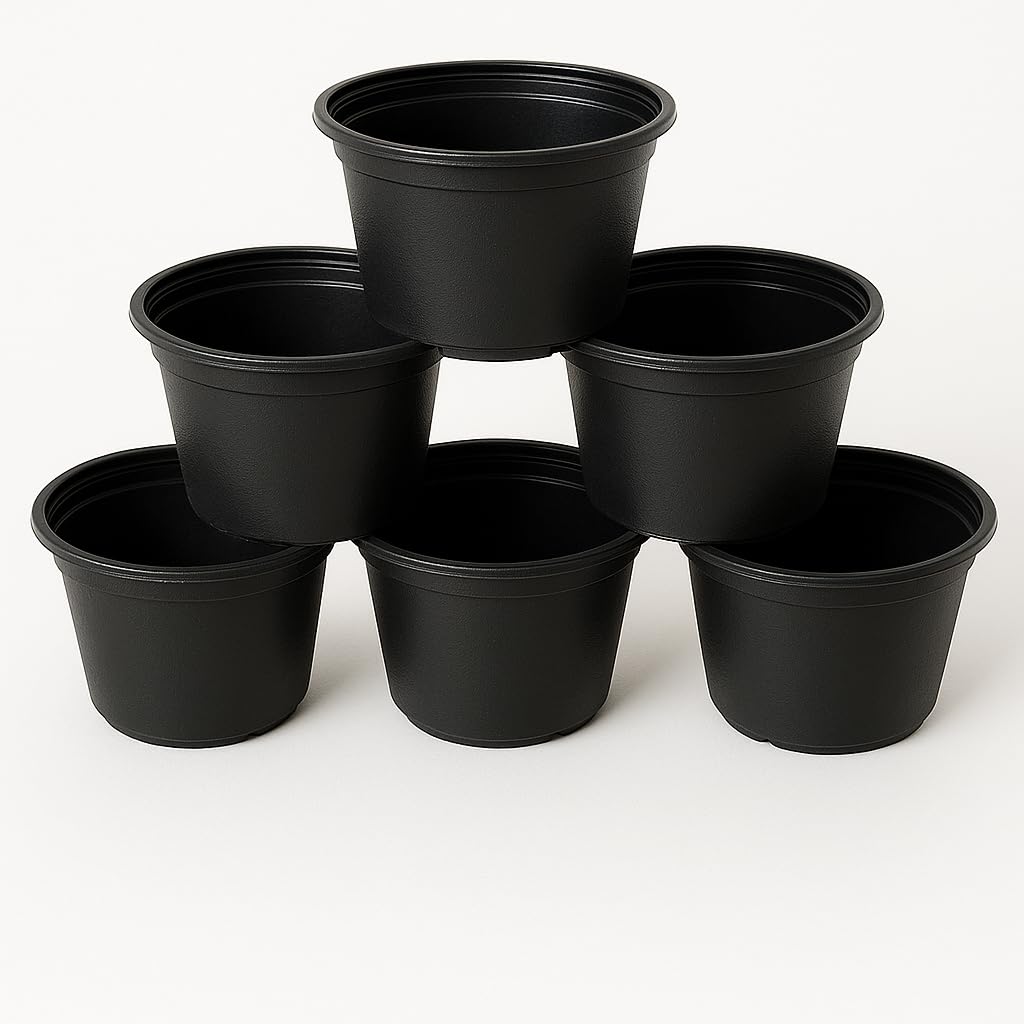 Black Planter Pot 20cm - 6pcs Black Plant Pot 20cm - 6pcs Best Plant