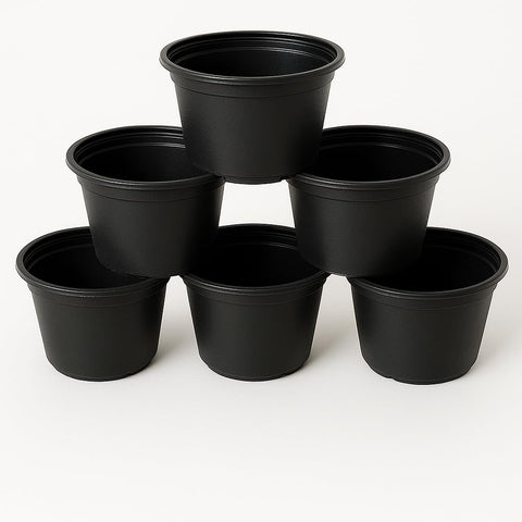 Black Planter Pot 20cm - 6pcs Black Plant Pot 20cm - 6pcs Best Plant