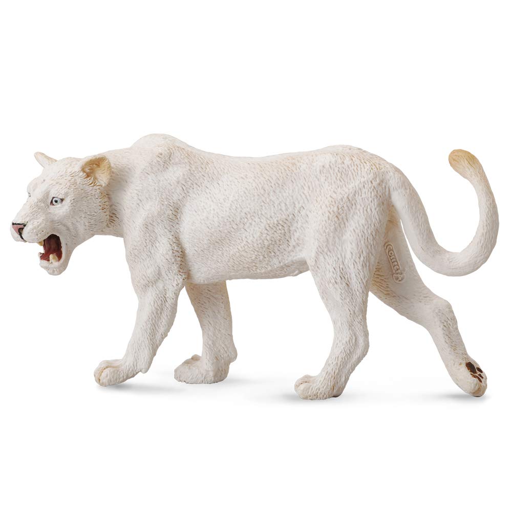 Collecta wildlife white lioness toy figure - authentic hand painted model