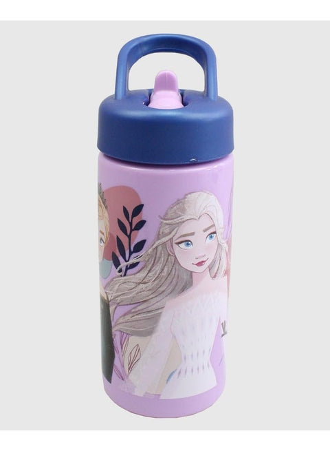 STOR FROZEN PLAYGROUND SIPPER BOTTLE 410 ML
