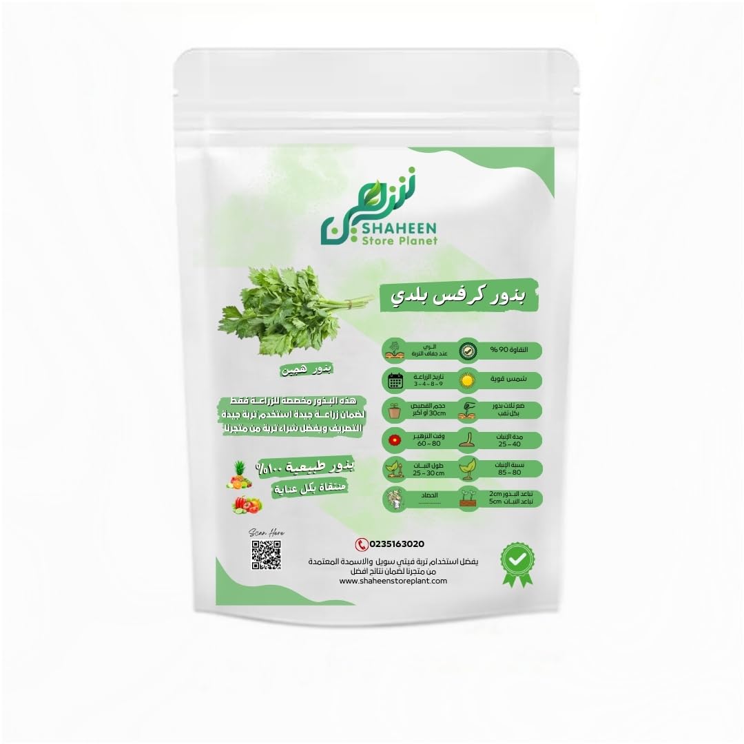 Baladi Celery Seeds 100% Natural 90% Purity for Gardening Agriculture Agricultural Land