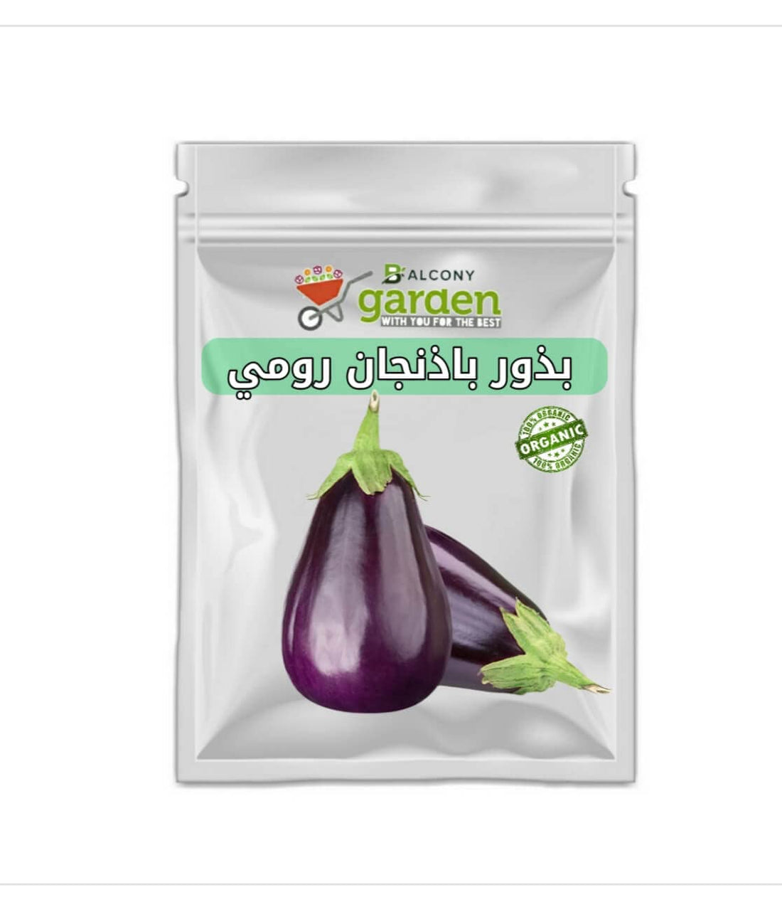 Balcony Garden Home Farming Eggplant Seeds