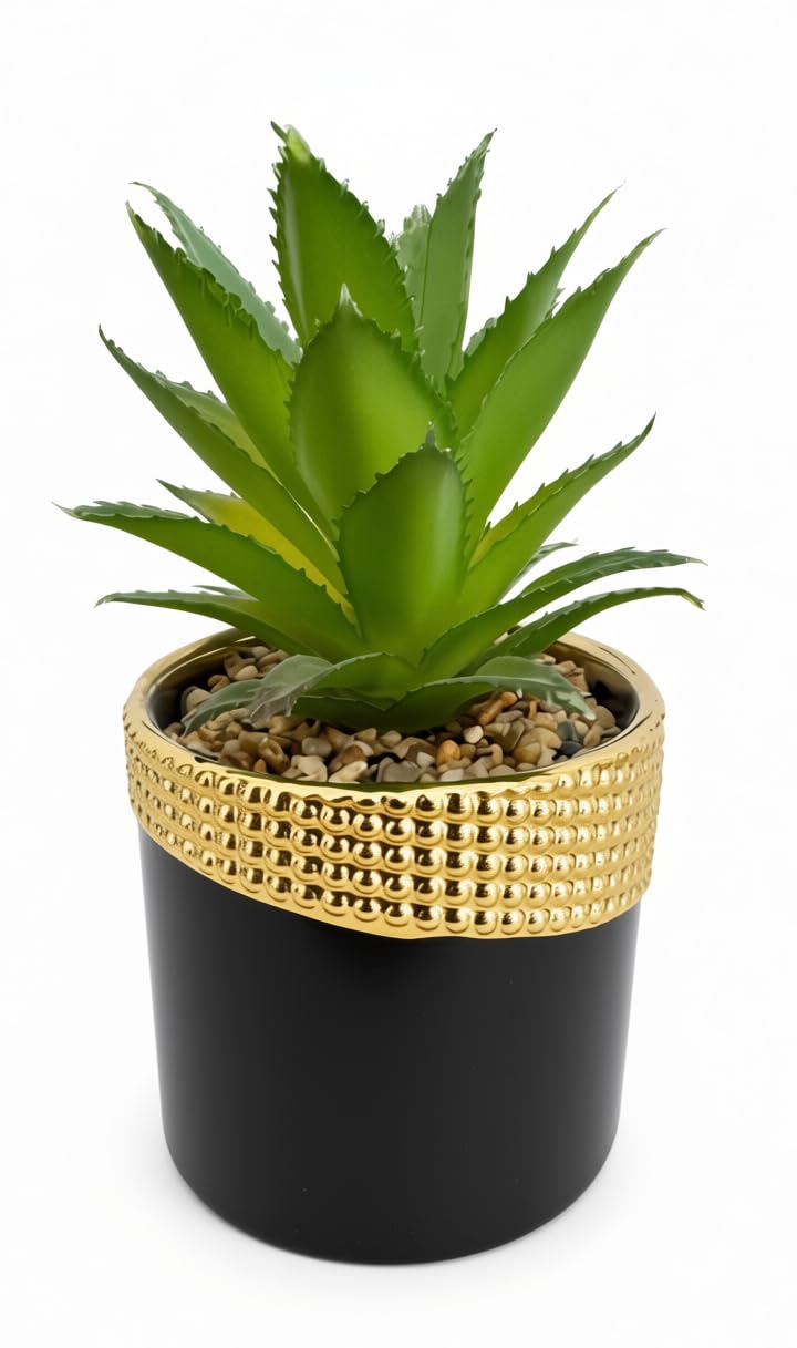 Artificial Cactus for Decoration in Black Ceramic Pot with Gold Rim – Realistic Artificial Decorative Plant – Elegant Modern Home & Office Decor