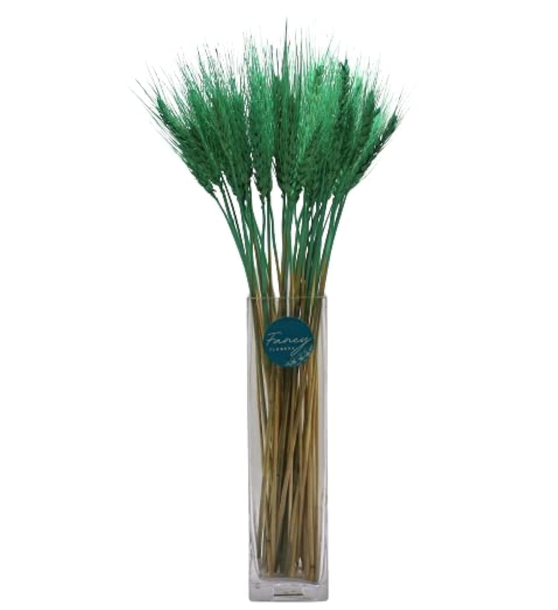 FANCY Dried Wheat Bundle 25-200 Stems | 100% Natural & Multi-Coloured | Boho Decor for Home Kitchen Wedding Office Hotel Centerpiece Filler (25, Forest Green)