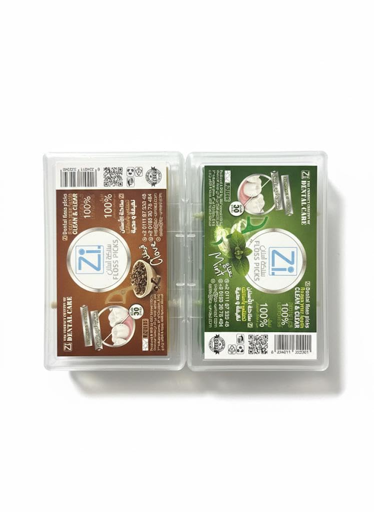 Plastic Toothpicks Dental Floss, Mint Flavor, and Phasenfel Non-Slip Handle, 2 Pack of Mint-Carnival