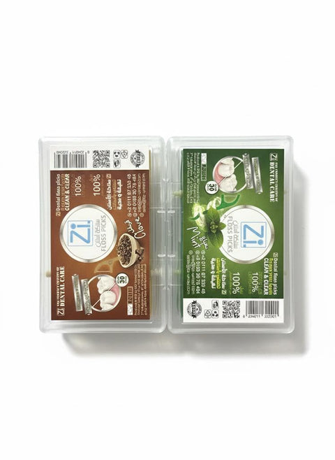 Plastic Toothpicks Dental Floss, Mint Flavor, and Phasenfel Non-Slip Handle, 2 Pack of Mint-Carnival