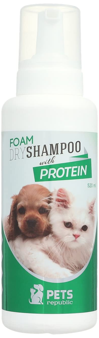 FOAM DRY SHAMPOO PROTEIN 520 ML