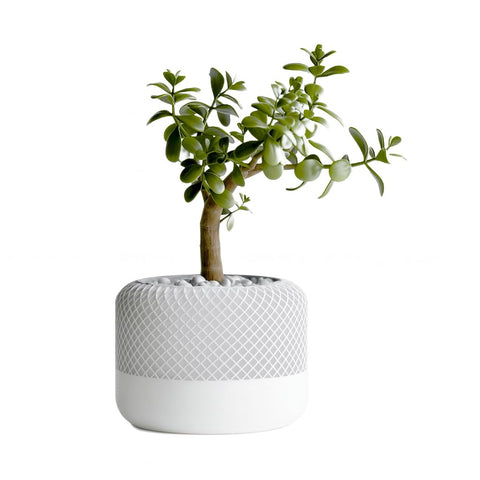 Home Pod Style Plant Pot and Vase, 3D Printed Succulent Planter, Indoor Desktop Decor, Modern Geometric Flower Pot with Drainage (Round_White)