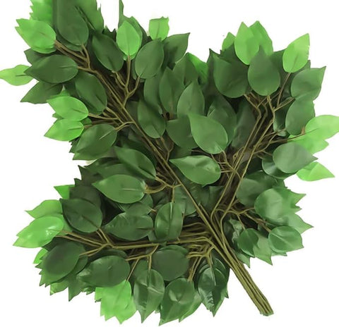12 Pcs Artificial Leaves Branches 30cm Length 7cm Wide (Benjamina) – Decorative Vase & Rose Arrangements & Bouquet – Multiple Colors (Yellow/Red/White/Pink/Milky/Green) for Home Office (Green)
