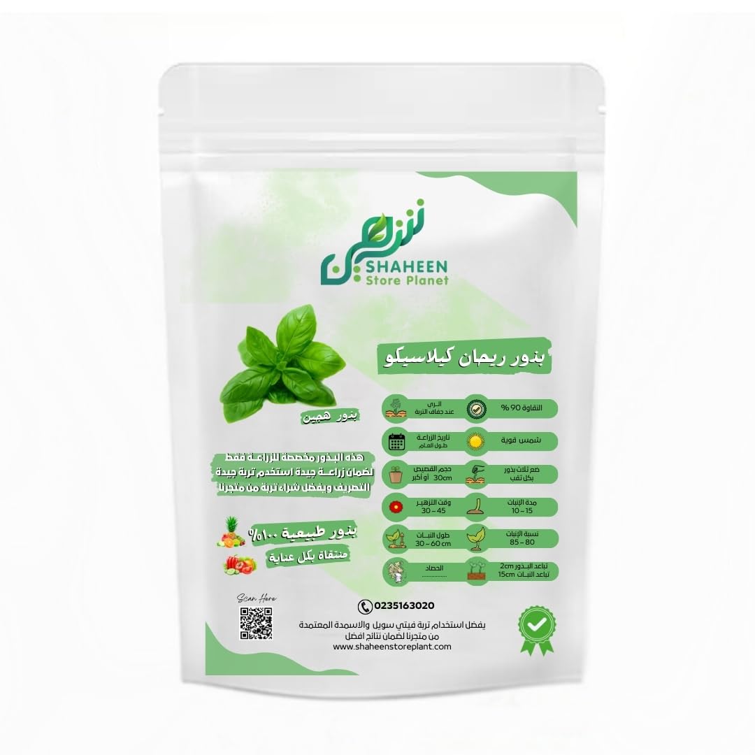 Classic Basil Seeds, Sun Plant, 90% Germination Percentage for Planting 50 Seeds