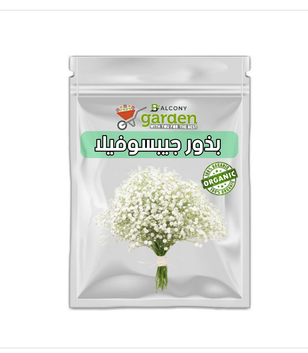 Gypsophila Seeds for Home Farming
