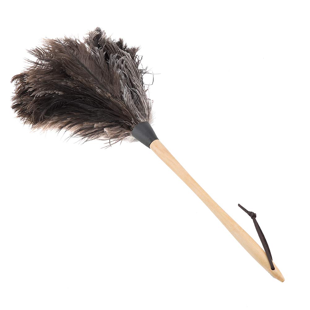 Ejoyous Duster with Ostrich Feathers, Ostrich Feather Dust Cloth with Long Wooden Handle, Antistatic Natural Ostrich Feather Duster Cobweb, for Home, Car, Office, Blinds, Dust and Cobwebs