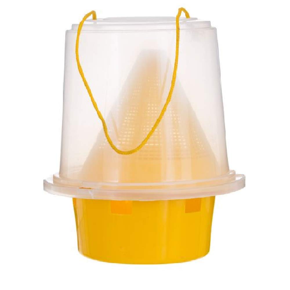 Trap with the pheromone of insects