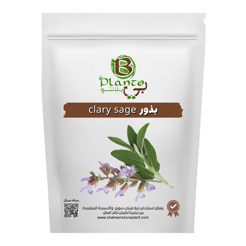 Clary Sage Seed