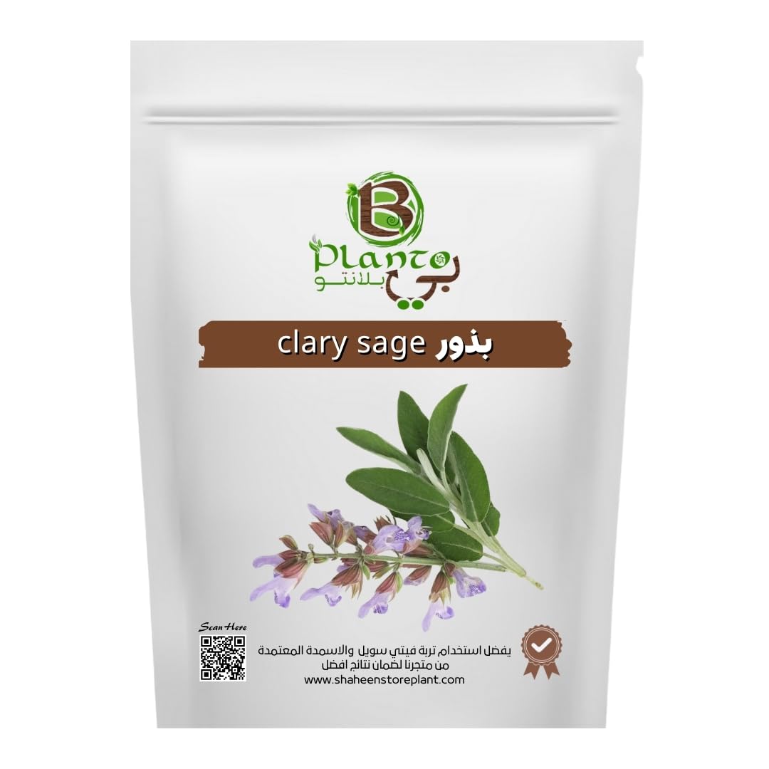 Clary Sage Seed