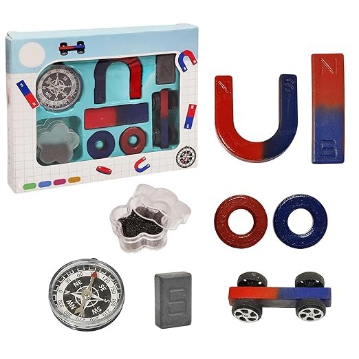 Magnetic Science Experiment Kit With 6 Magnets Compass Iron Powder STEM Learning Set For DIY Science Projects Discovery Activities Educational Tool For Classroom Home Learning Gift