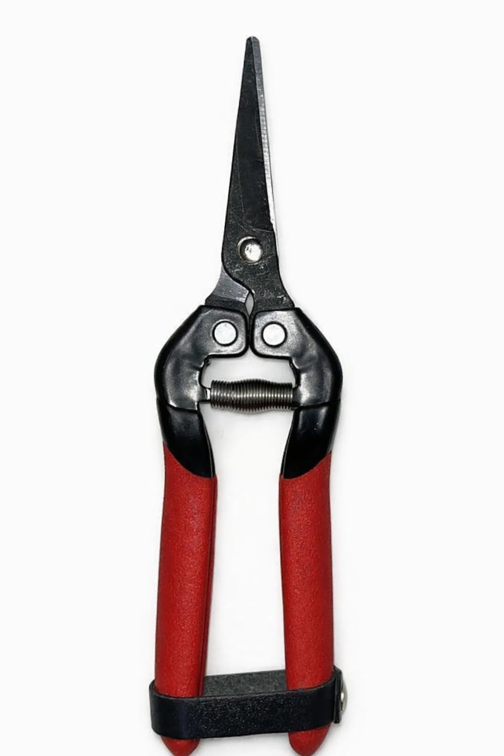 Grape Pruning Shears, Straight Steel Blade, 190mm Length, for Cutting Grapes, Clusters and Flowers