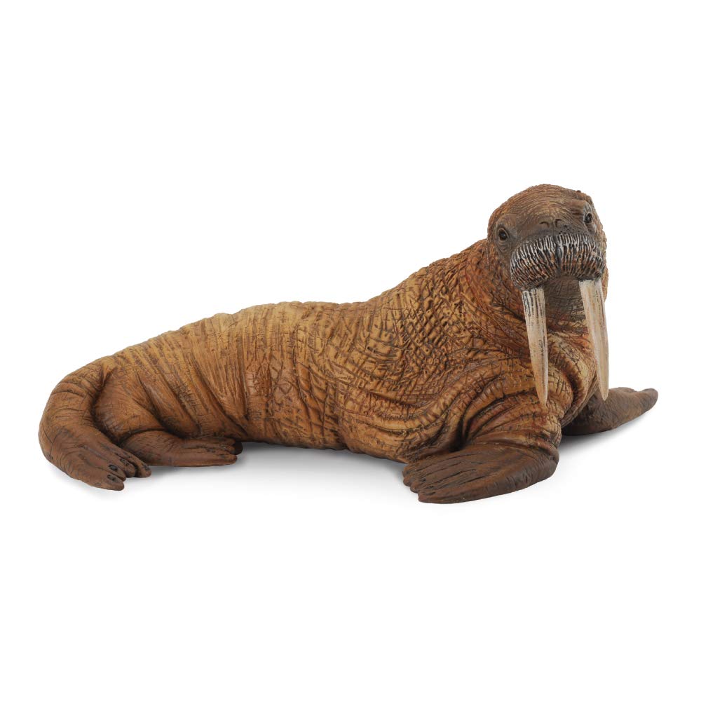 Collecta sea life walrus toy figure - authentic hand painted model-multi size