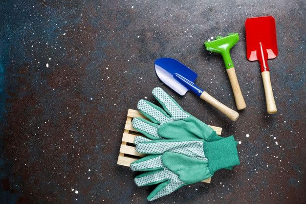 Home Garden Tool Set, 4 Pieces with Gloves, Blue Shovel and Wooden Gardening Equipment for Home Farming