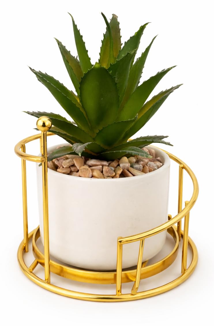 Mini Artificial Cactus Plant in White Ceramic Pot with Gold Metal Stand, Modern Decor for Office Home Reception Tables (Drawer)