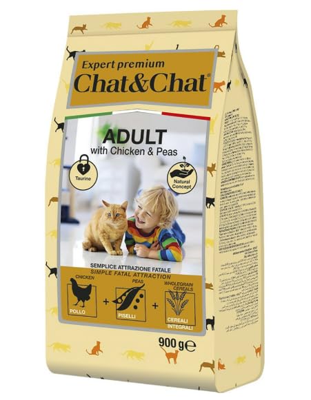 Chat&Chat