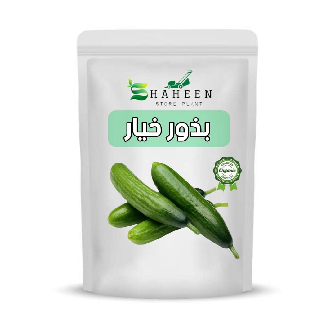 Cucumber Plant Seeds (Cucumis sativus)
