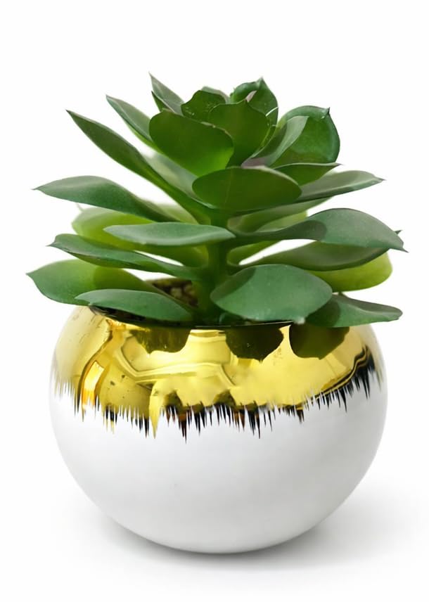 Realistic Artificial Cactus Plant in Round Ceramic Pot with Gold Rim, Modern Decor for Home, Office, Tables - (Modern Style) (White Gold)