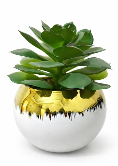 Realistic Artificial Cactus Plant in Round Ceramic Pot with Gold Rim, Modern Decor for Home, Office, Tables - (Modern Style) (White Gold)