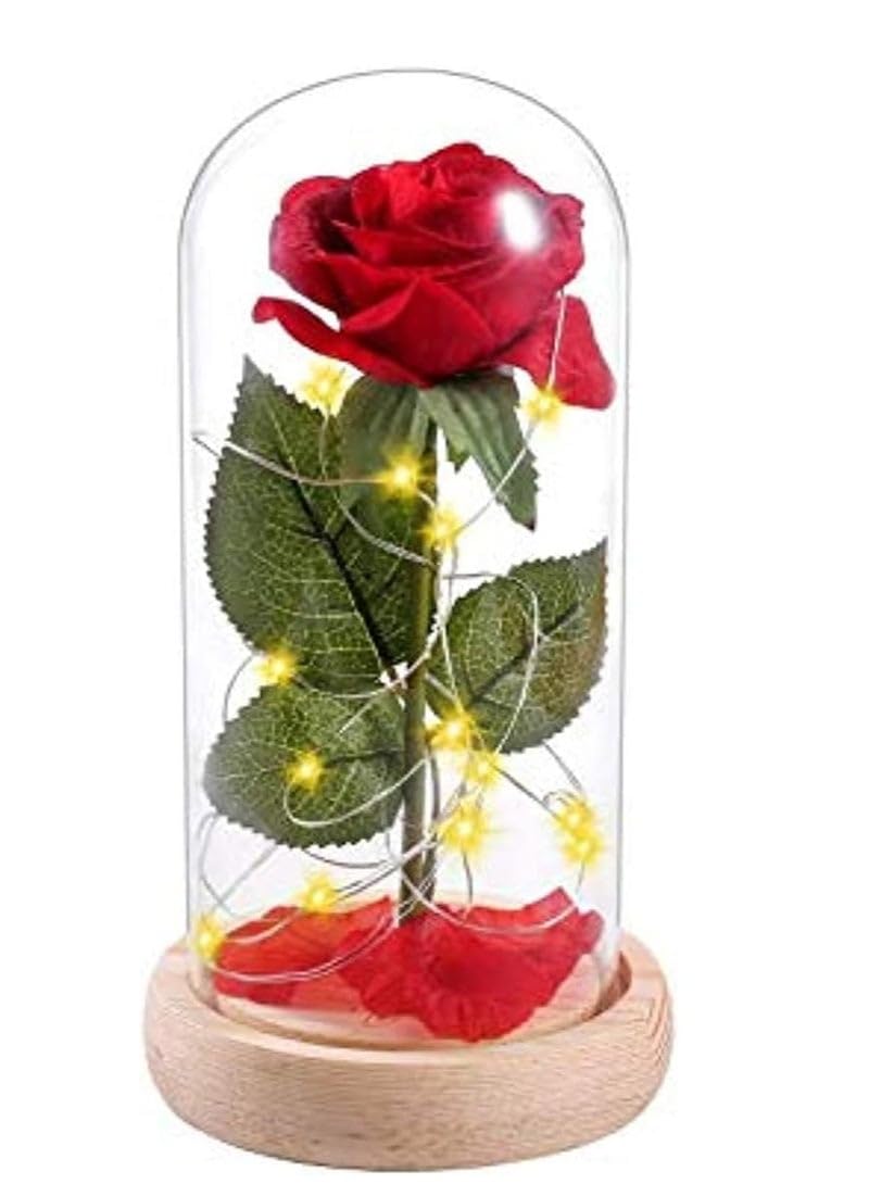 Beauty and Beast Roses Dream Flower Red Silk Rose with LED Light and Fallen Petals on a Glass Dome Wooden Base