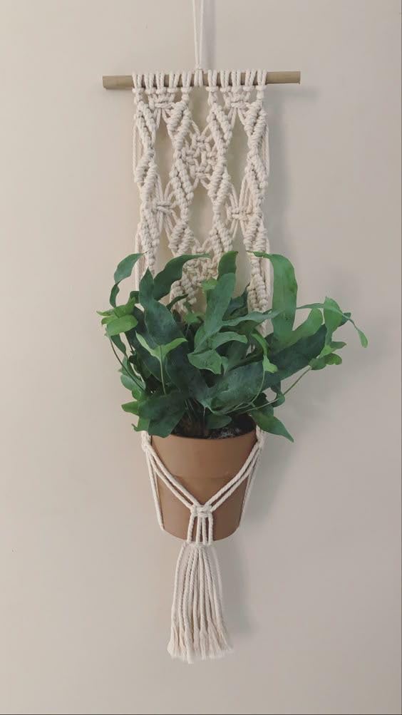 MacrameStore- Handmade Macrame Plant Hanger - عليقة زرع مكرمية يدوية للتعليق