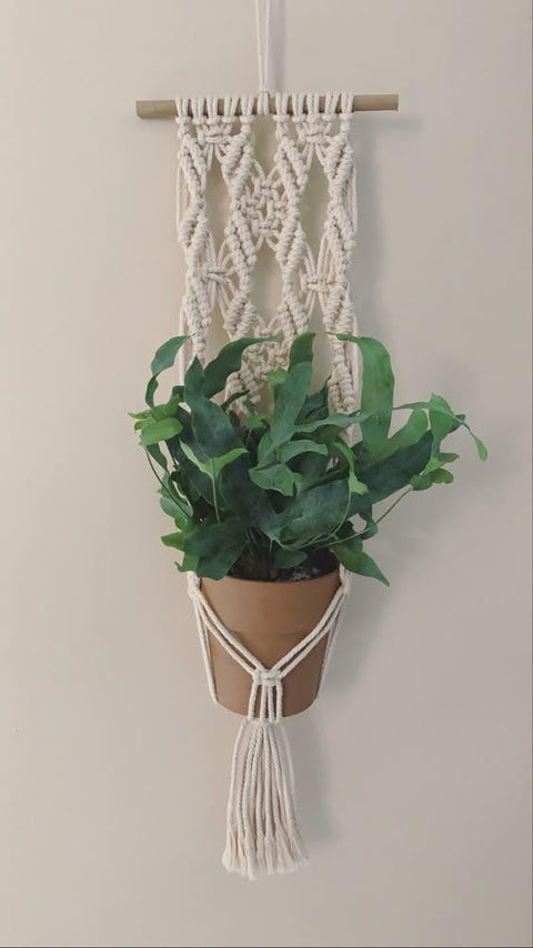 MacrameStore- Handmade Macrame Plant Hanger - عليقة زرع مكرمية يدوية للتعليق
