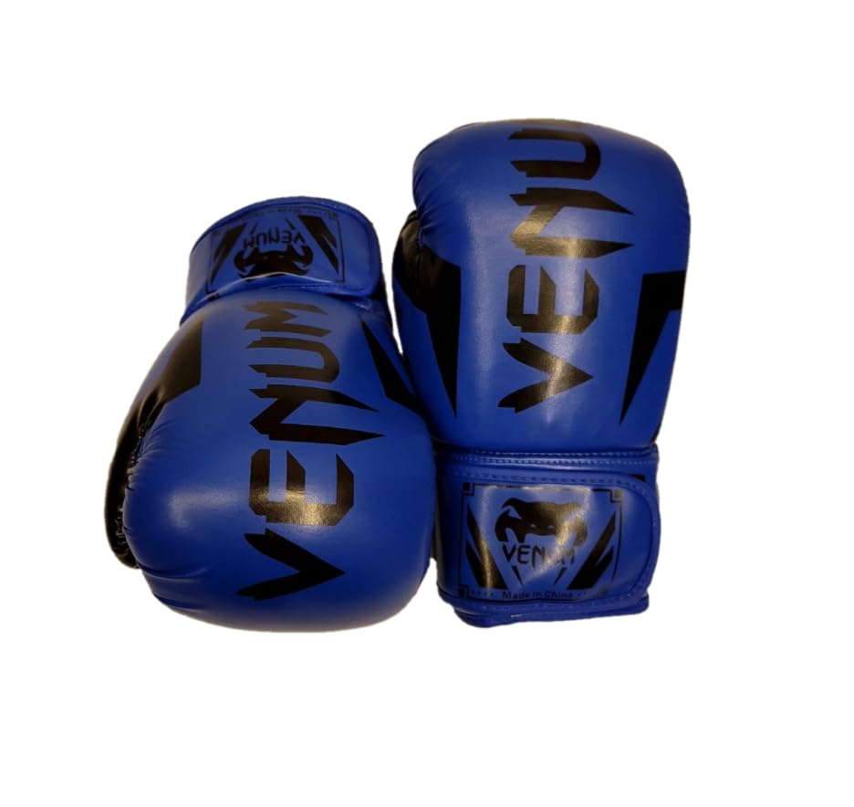 Boxing Gloves, Blue and Black, Training Gloves (6)