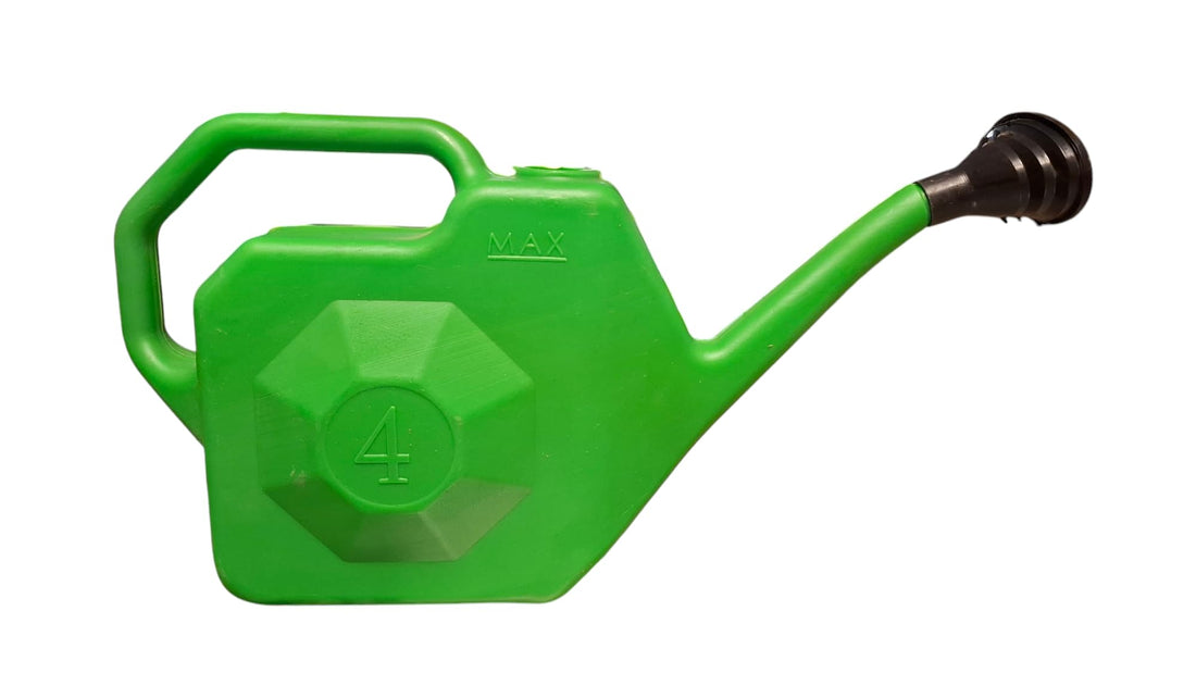 Plant Irrigation Bowl, 4 Litres, Green