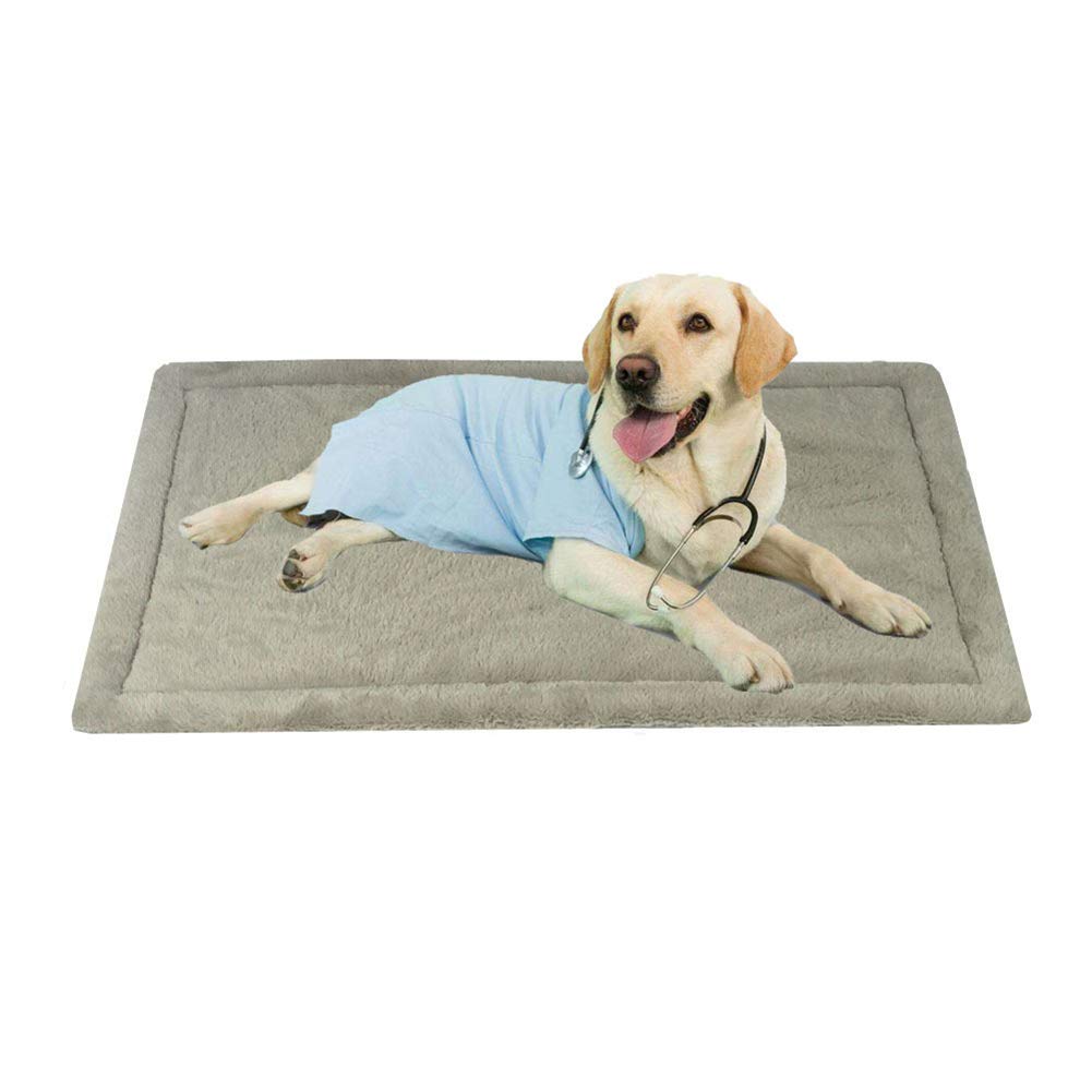 Dog Beds Dog Mat Dog Blanket Outdoor Cooling Blanket Dog Cat Beds Dog Mattress Dog Blankets Dog Blanket Small Dog Blankets Washable Pet Blanket Soft Blanket L