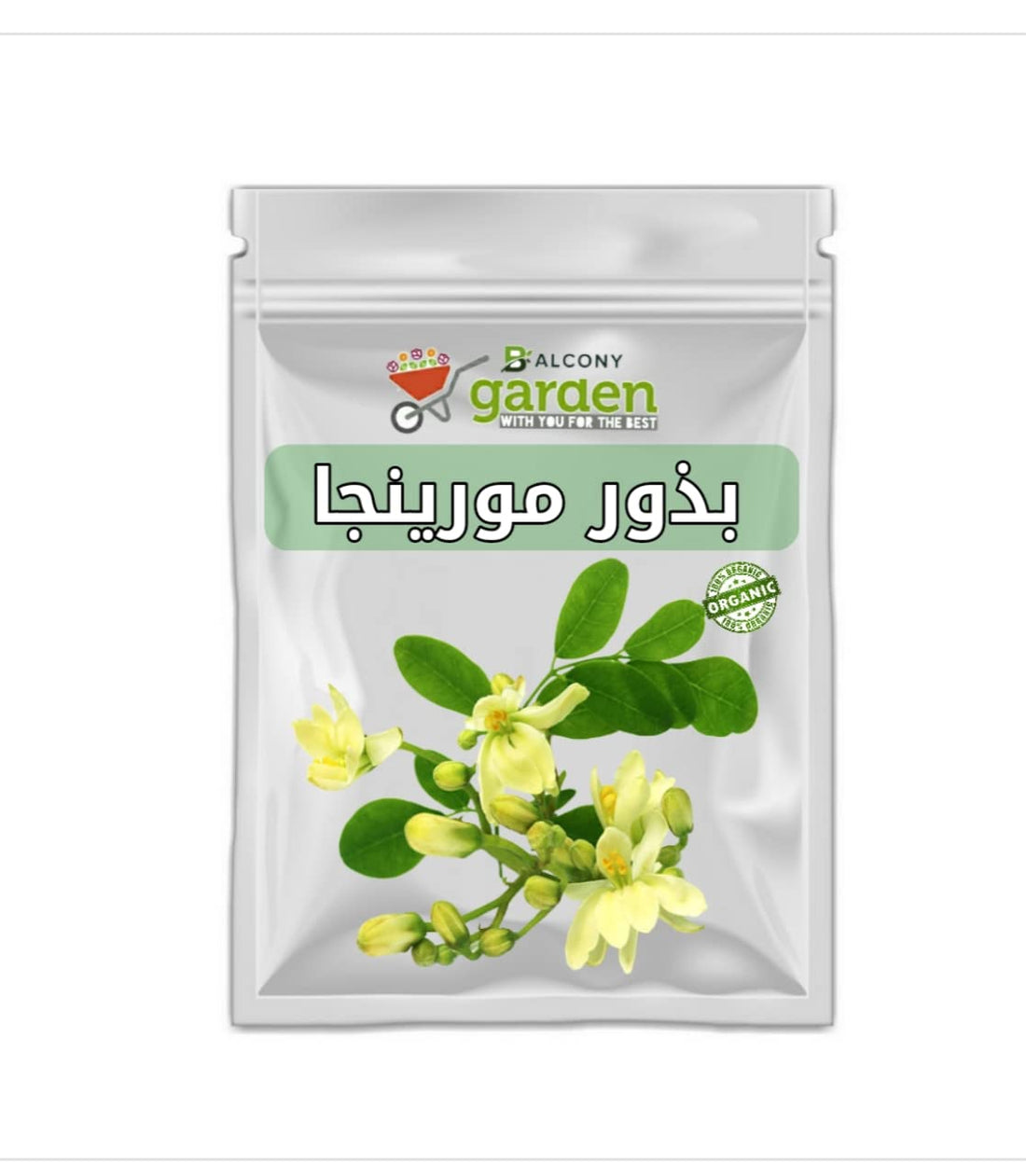 Moringa Seeds for Planting (Miracle Tree)