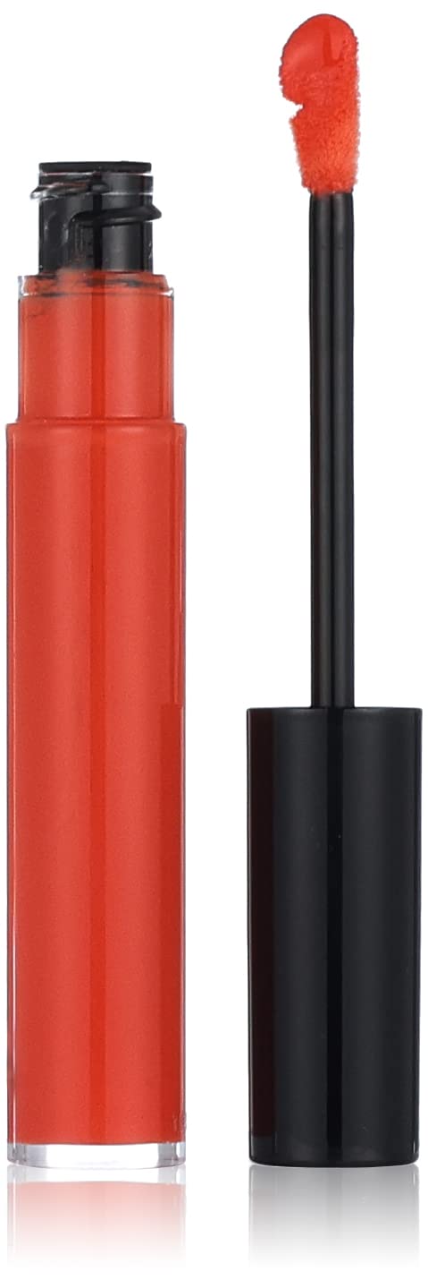 Artist plexi gloss - 306 orange