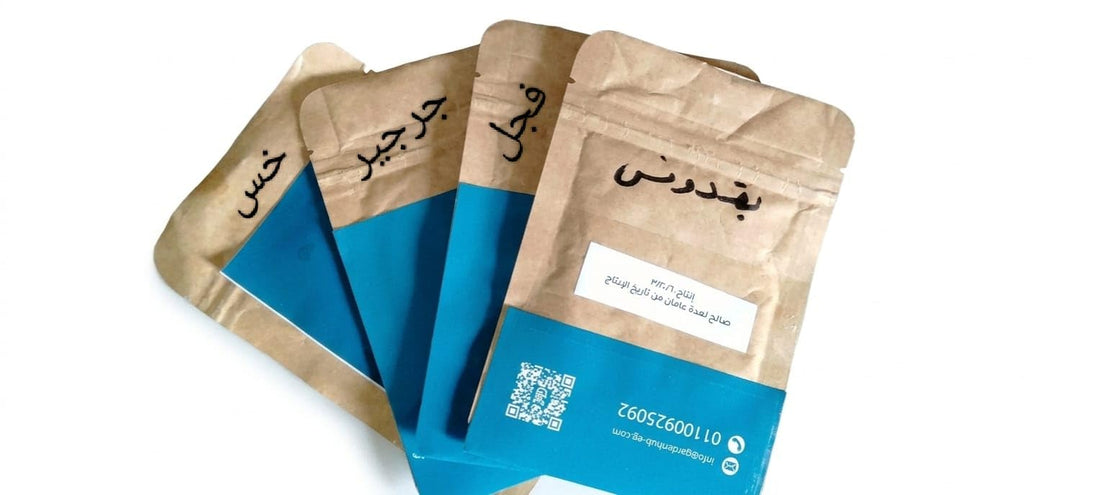 Fast Vegetable Seeds Kit
