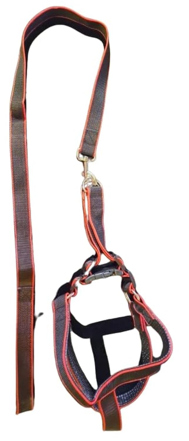 2 Pc Leash + Harness Comfort wear Soft paded (Black in Red, XL Large and Large breed)