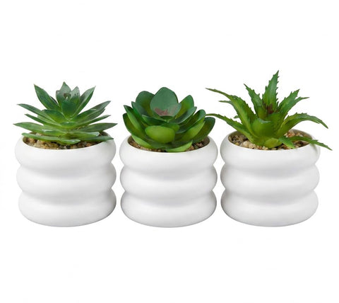 Artificial Plants Set of 3 Small Fake Plants in White Plastic Pots, Realistic Artificial Plants for Home Office Bathroom Shelf Decor, Modern Indoor Decor Natural Looking