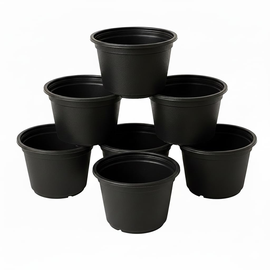 Black Planter Pot 20cm - 7pcs Black Plant Pot 20cm - 7pcs - Best to Plant