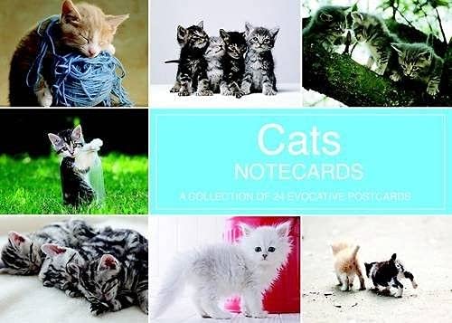 Notecard Book Cats (2011)