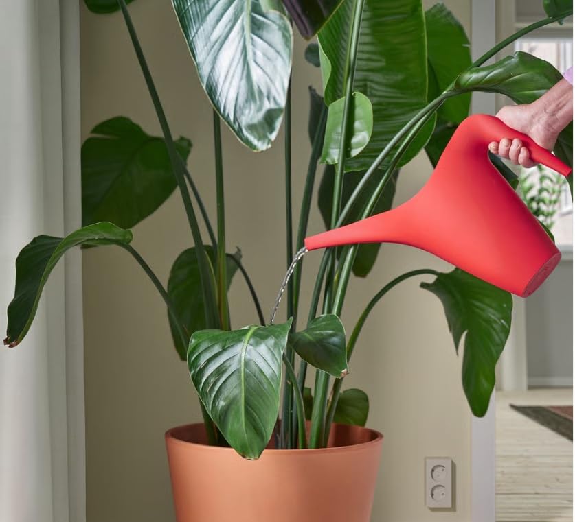 PS 2002 Watering can, Orange, 1.2 l (41 oz)